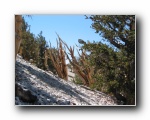 2003-09-20 White (69)